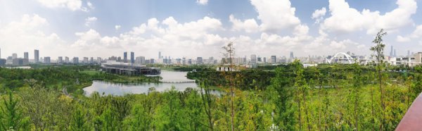 这个假期夜樱和长颈鹿成新顶流，多米尼加游客逛上海公园直呼想“复制”